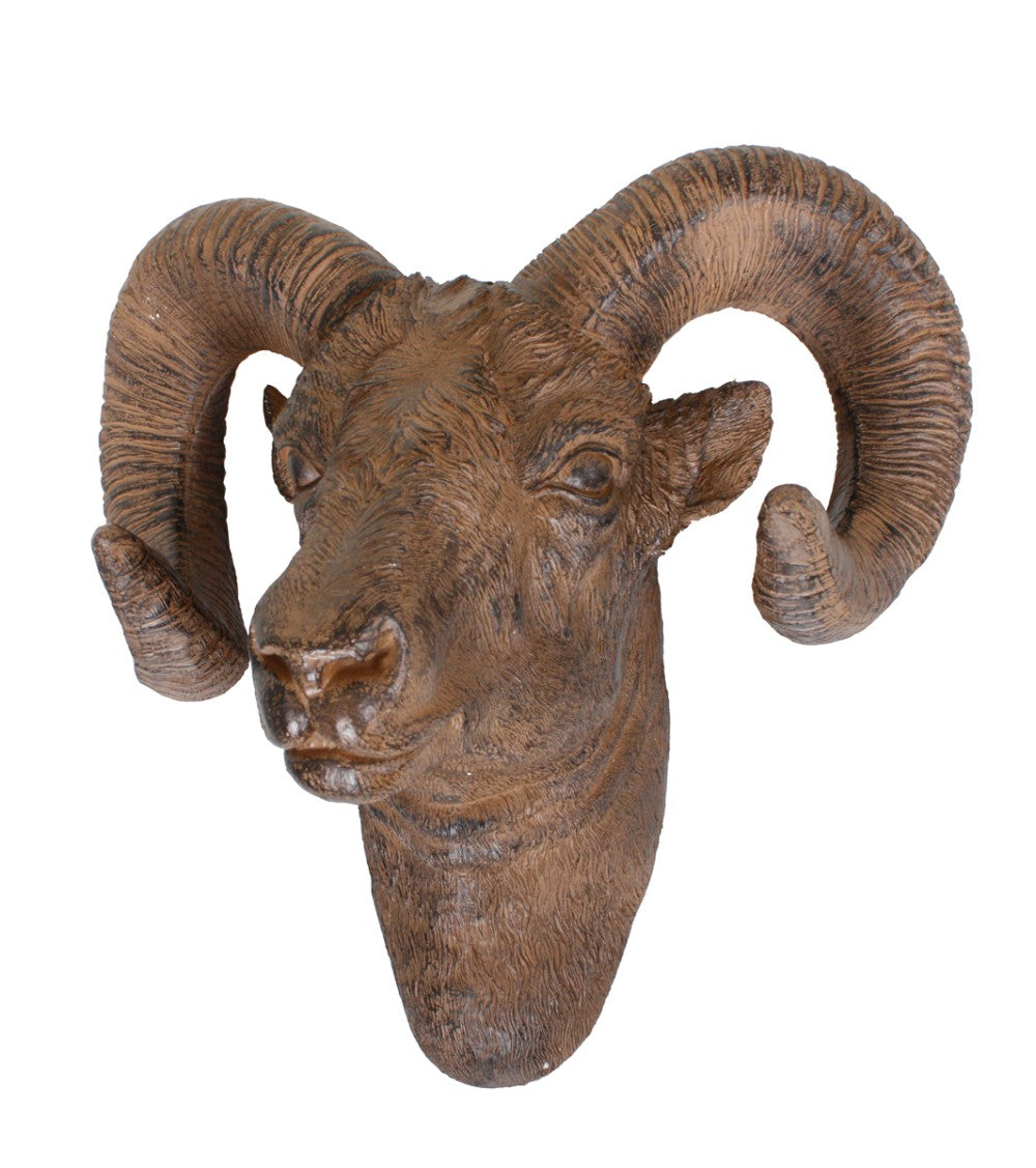 Widder Geweih Jagdtrophäe Trophäe Gehörn Deko Wanddekoration Jagd Jagen