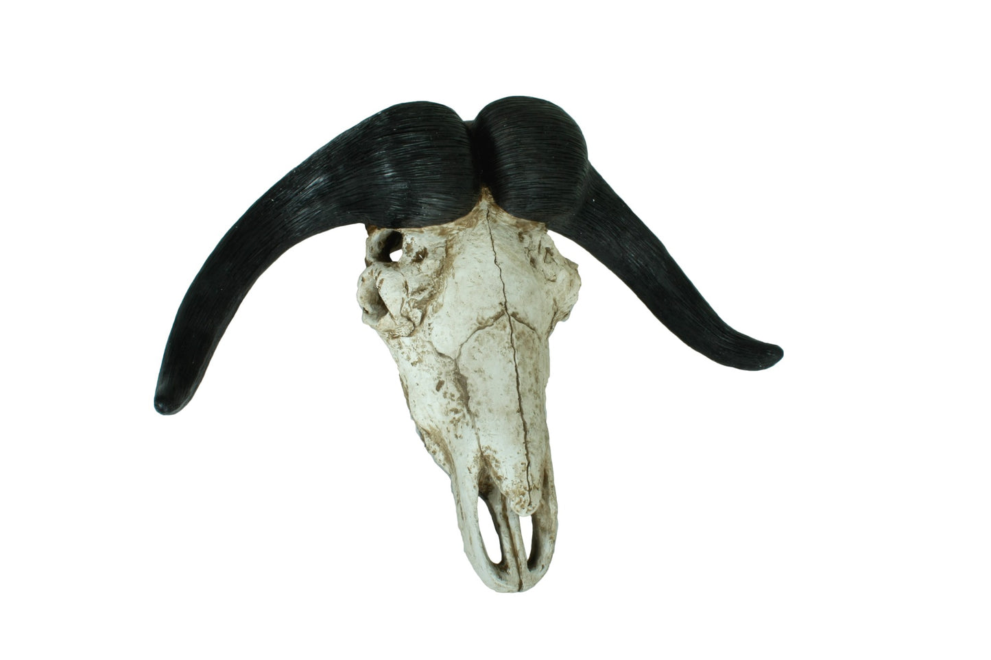 Polyresin Geweih Büffel Jagdtrophäe Trophäe Gehörn Deko Wanddekoration Jagd