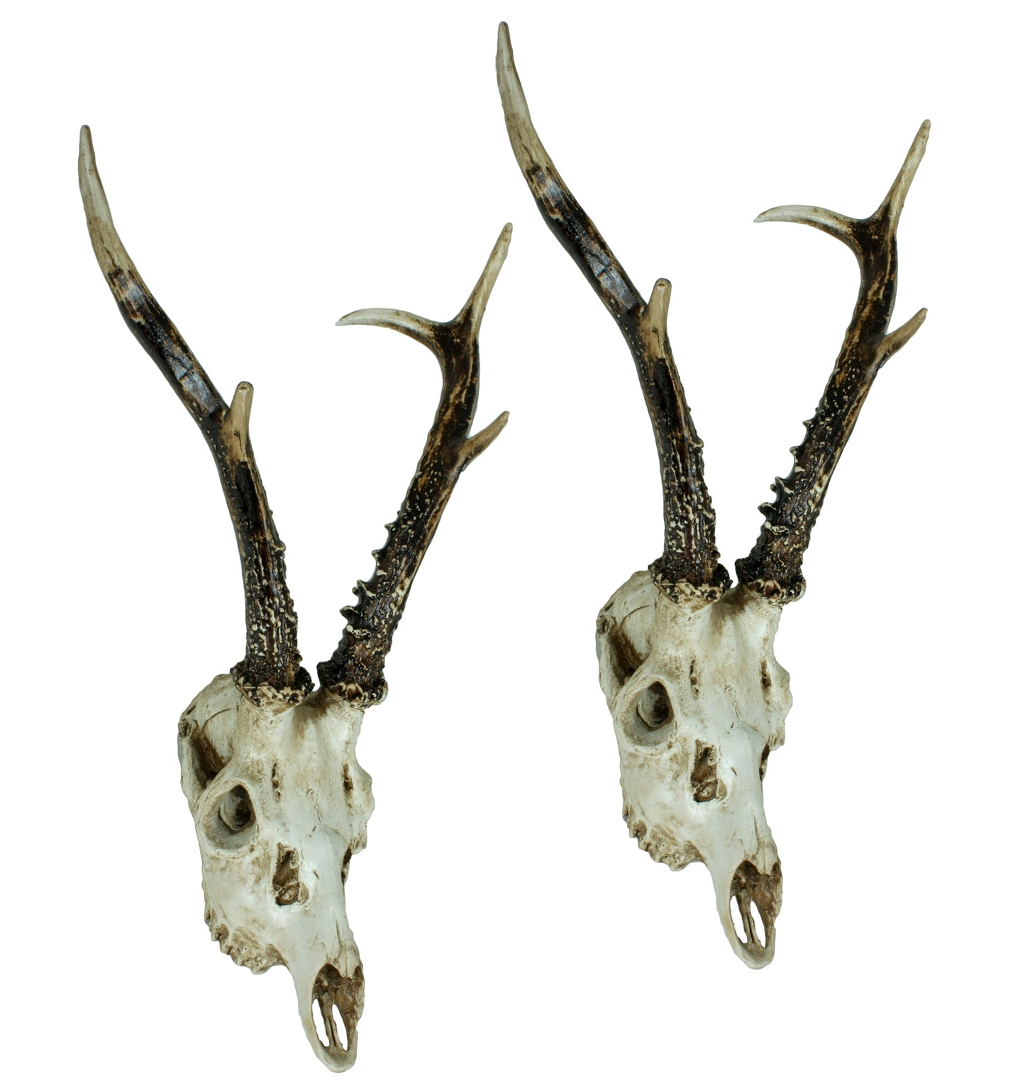 Set Polyresin Geweih Reh Jagdtrophäe Trophäe Gehörn Deko Wanddekoration Jagd