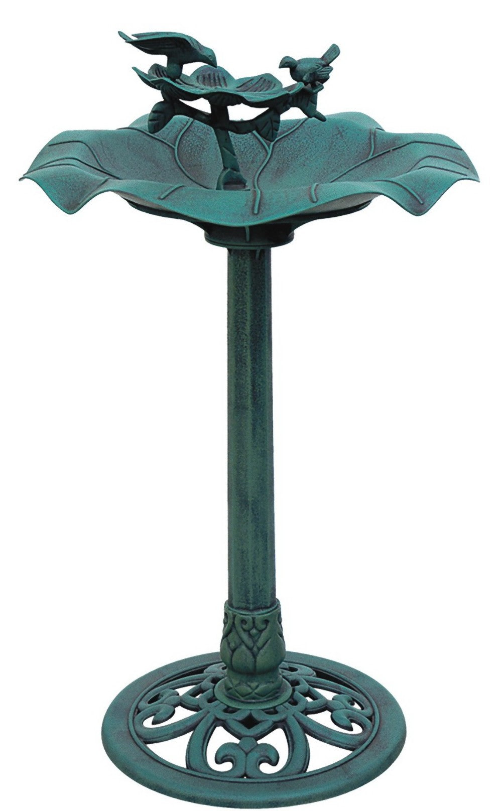 Vogeltränke Wassertränke Wasserschale Vogelbecken Vogelbad Vogel Tränke