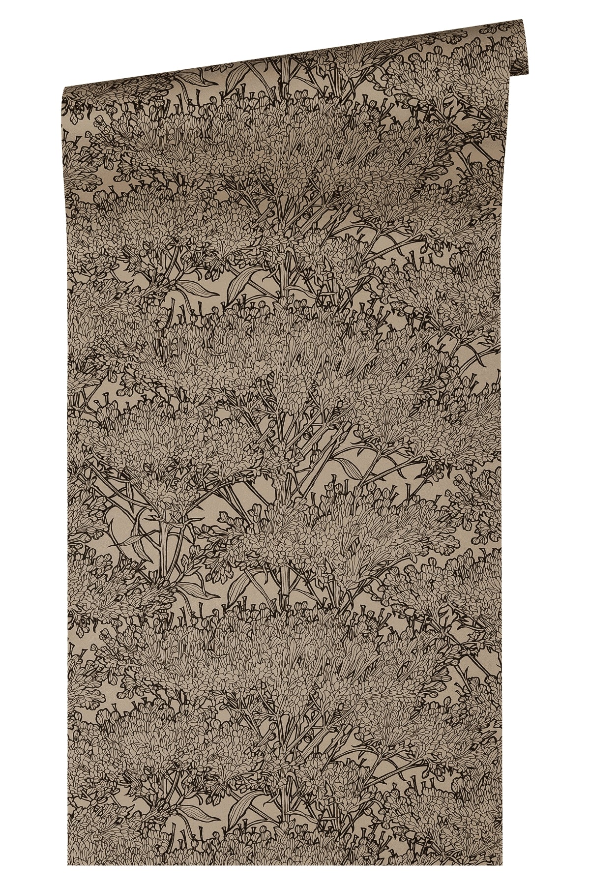 A.S. Création Dschungeltapete Dschungel Braun 369725 Tapete Absolutely Chic Wand