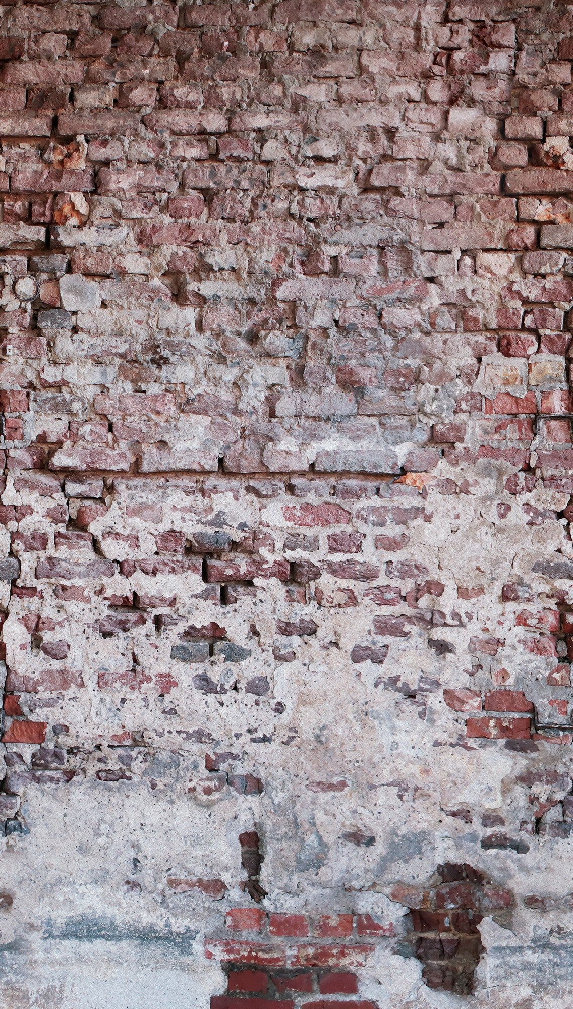 A.S. Création Steinoptik Rot 383351 Wandtapete Vlies Vlies Rolle Tapete The Wall