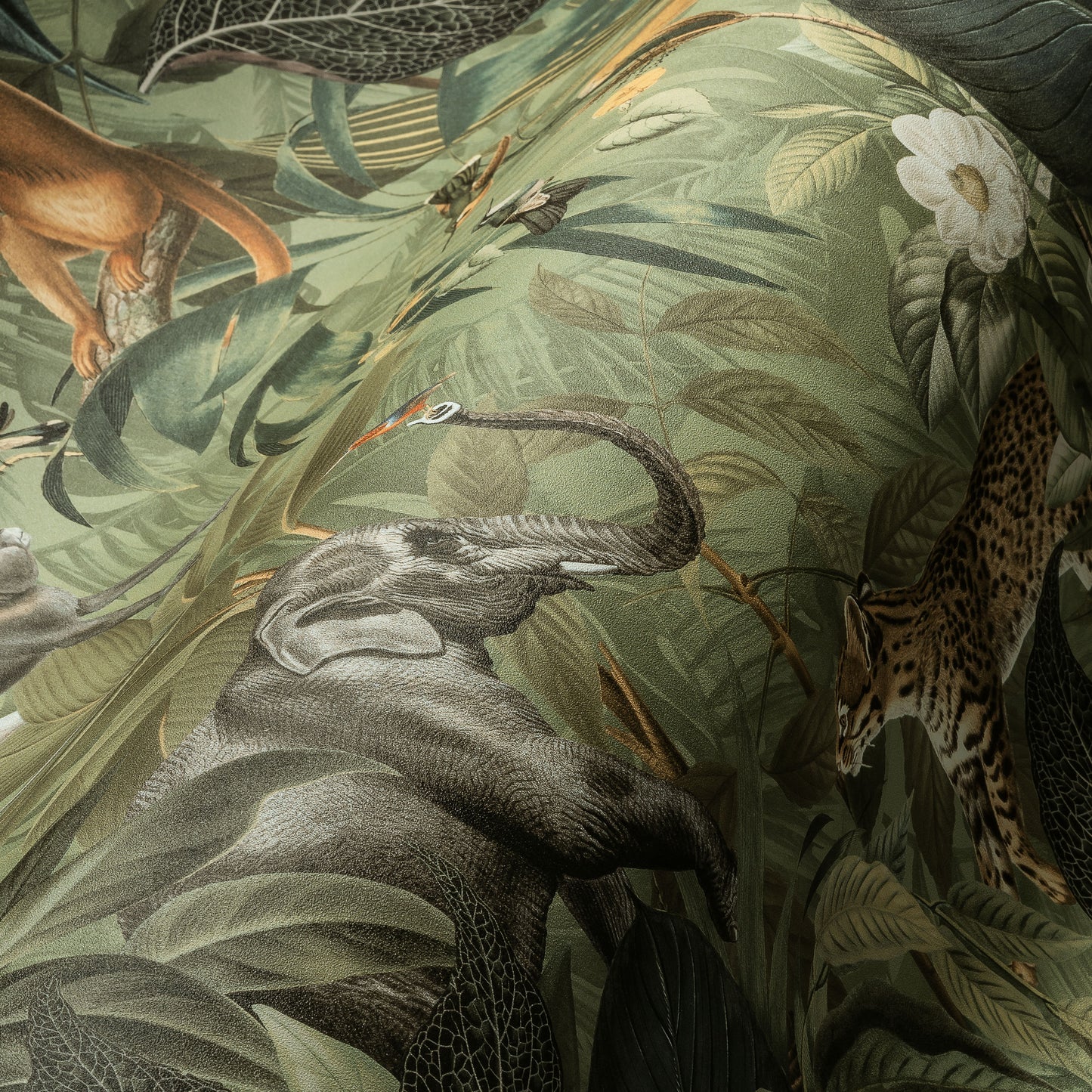 A.S. Création Tapete PintWalls 387243 Dschungel Tiere Vlies Natur Kinder Wald