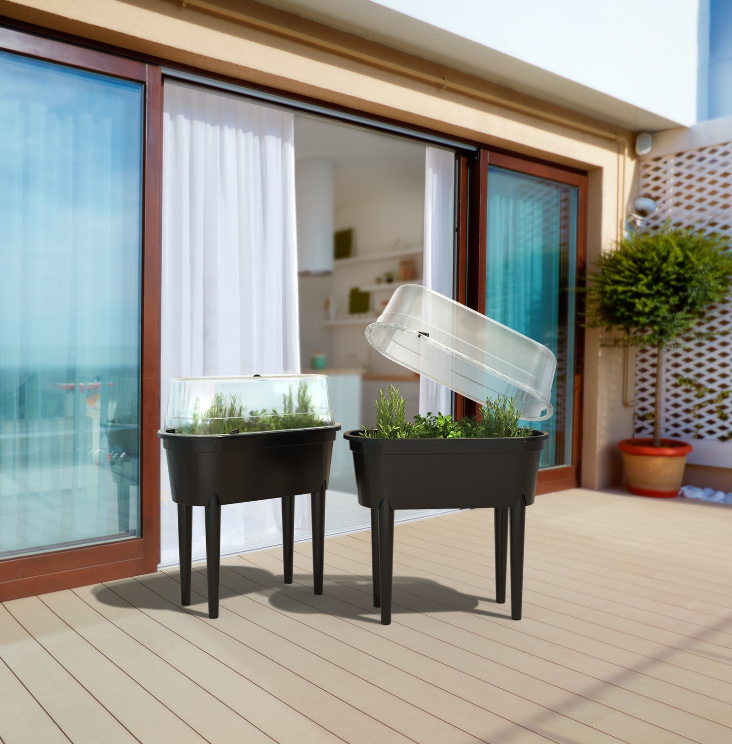 2x Hochbeet + Deckel 77cm Balkon Kasten Beet Kräuter Pflanzkasten Gewächshaus
