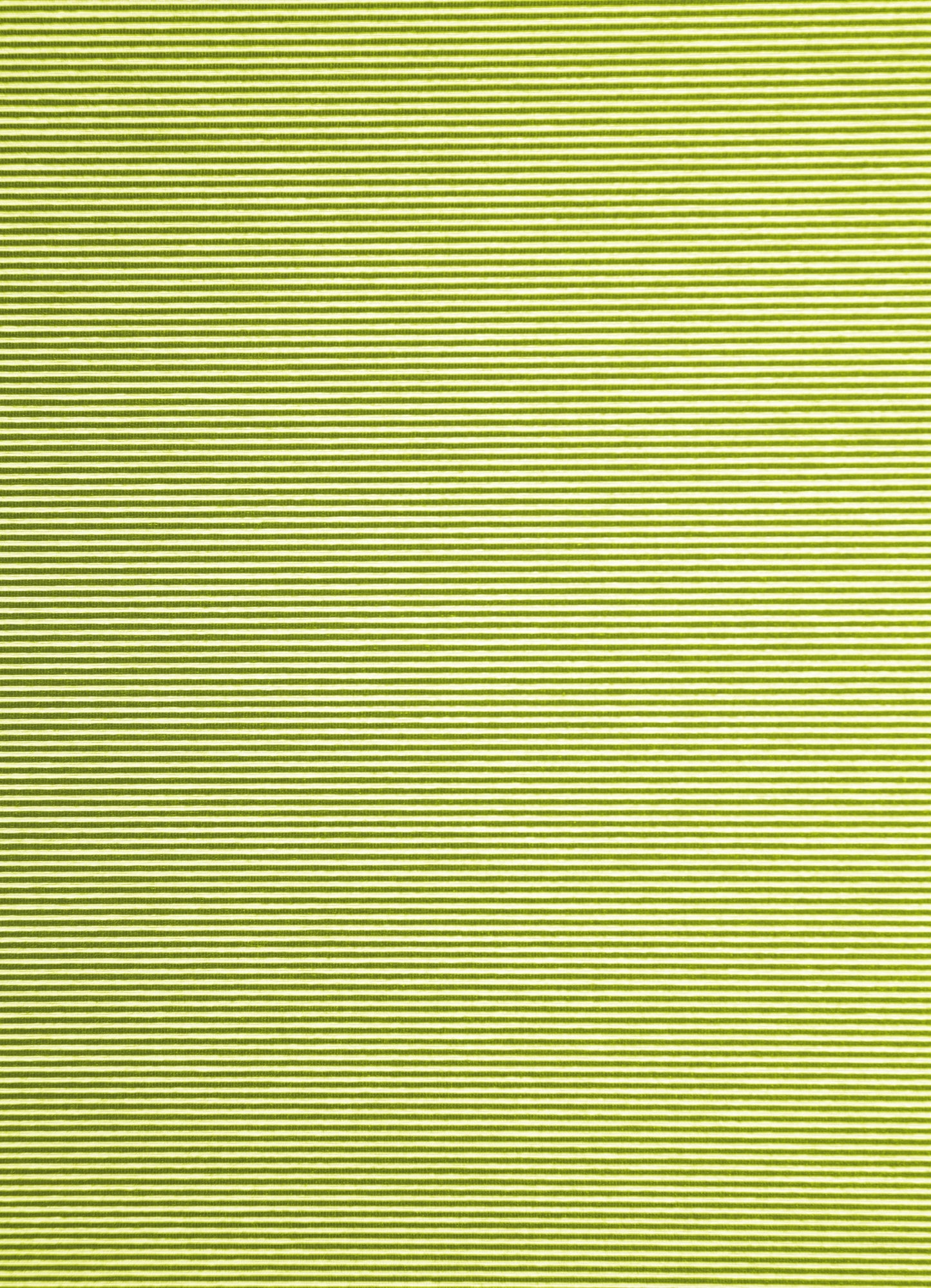 Homing Flächenvorhang Manhatten 60x245cm grün Vorhang Wohnzimmer Schlafzimmer