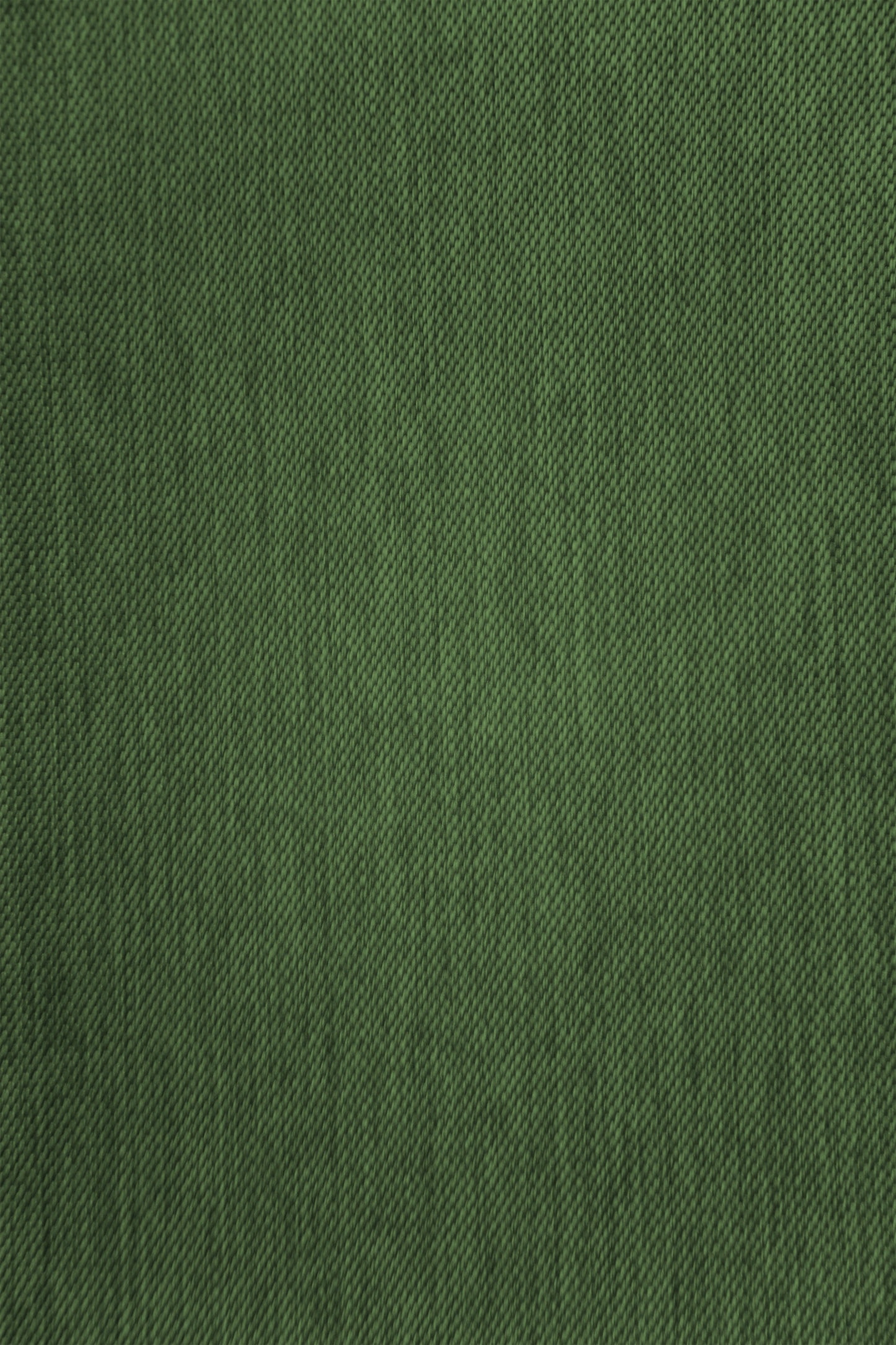 Homing Schlaufenschal Galdin 140x245 Vorhang Schlafzimmer Deko verdunkelnd grün