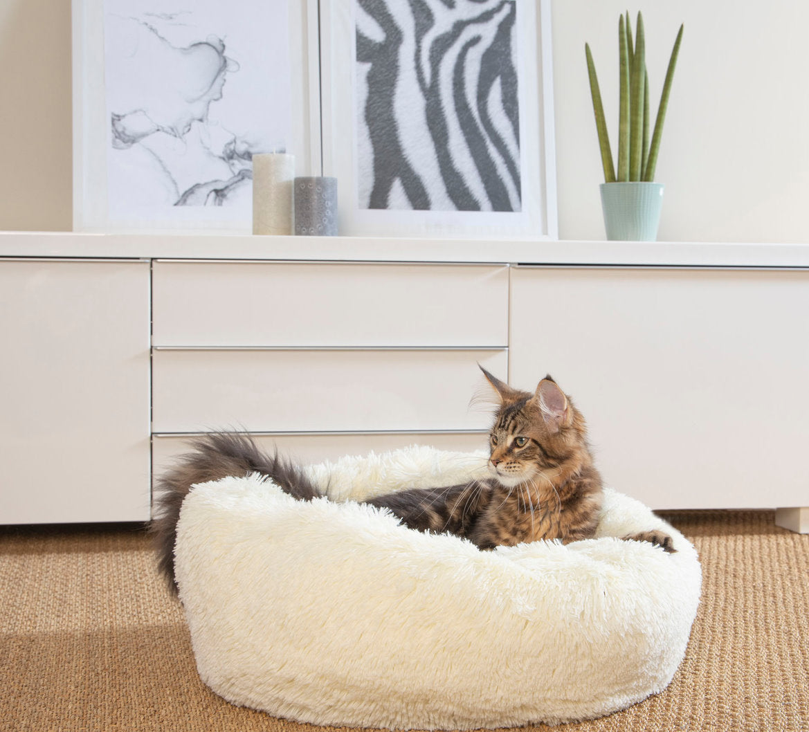 Plüsch Hundebett 55cm Katzenbett Hunde Kissen Hundekorb Schlafplatz Hund Katze