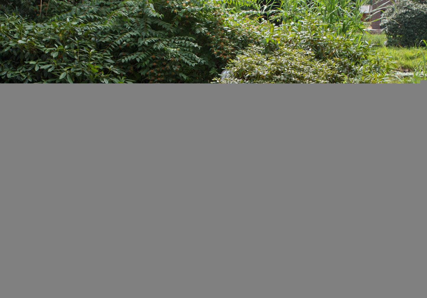Garden Pleasure 4tlg Lounge Set Garten Sitzgruppe Tisch Stuhl Rattan Optik