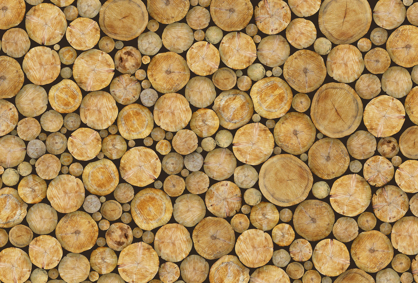 A.S. Création Vlies Fototapete Holz Braun Logs DD118975 Baum Designwalls 2.0