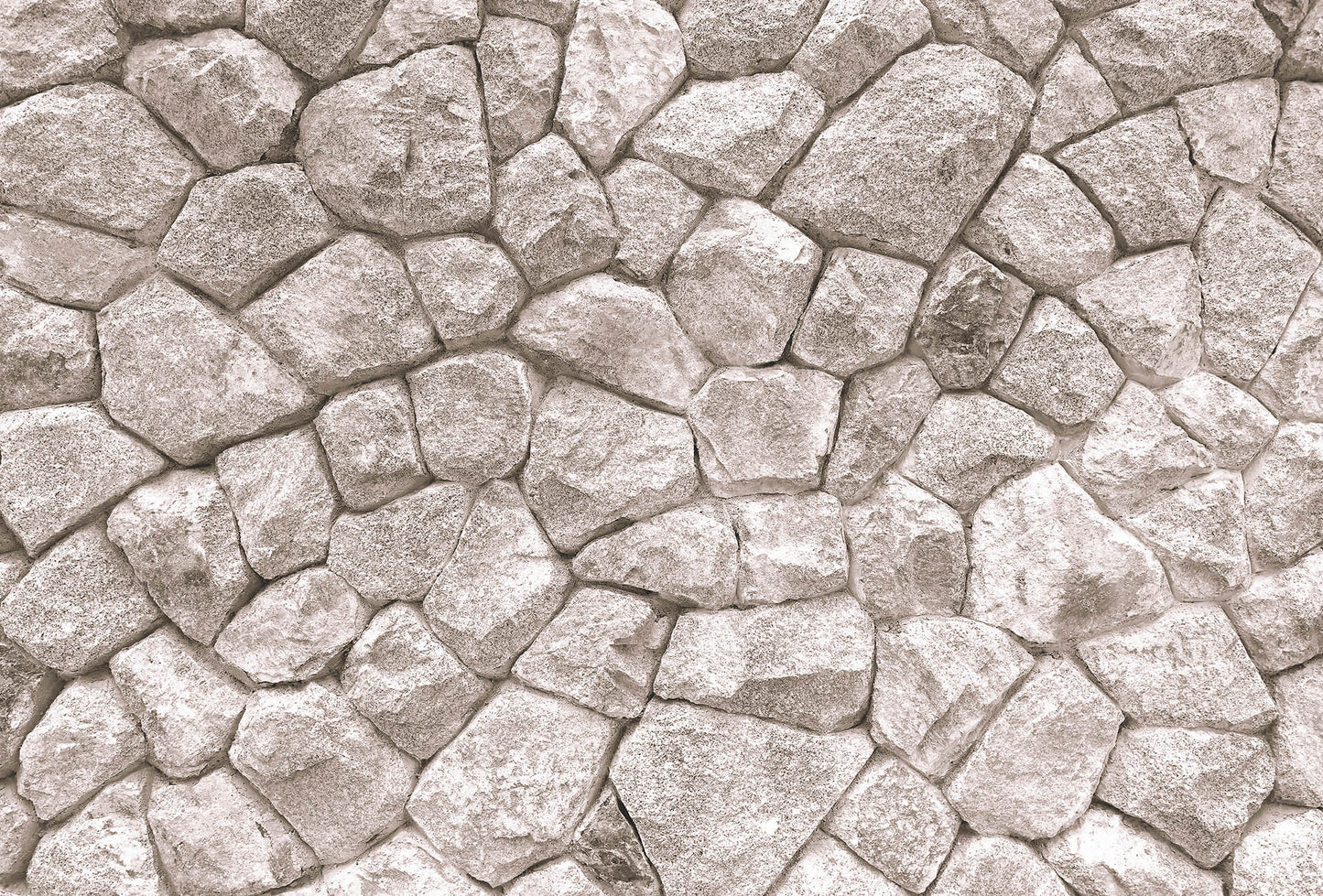 A.S. Création Vlies Fototapete Stein Large Stone Wall DD118977 Designwalls 2.0