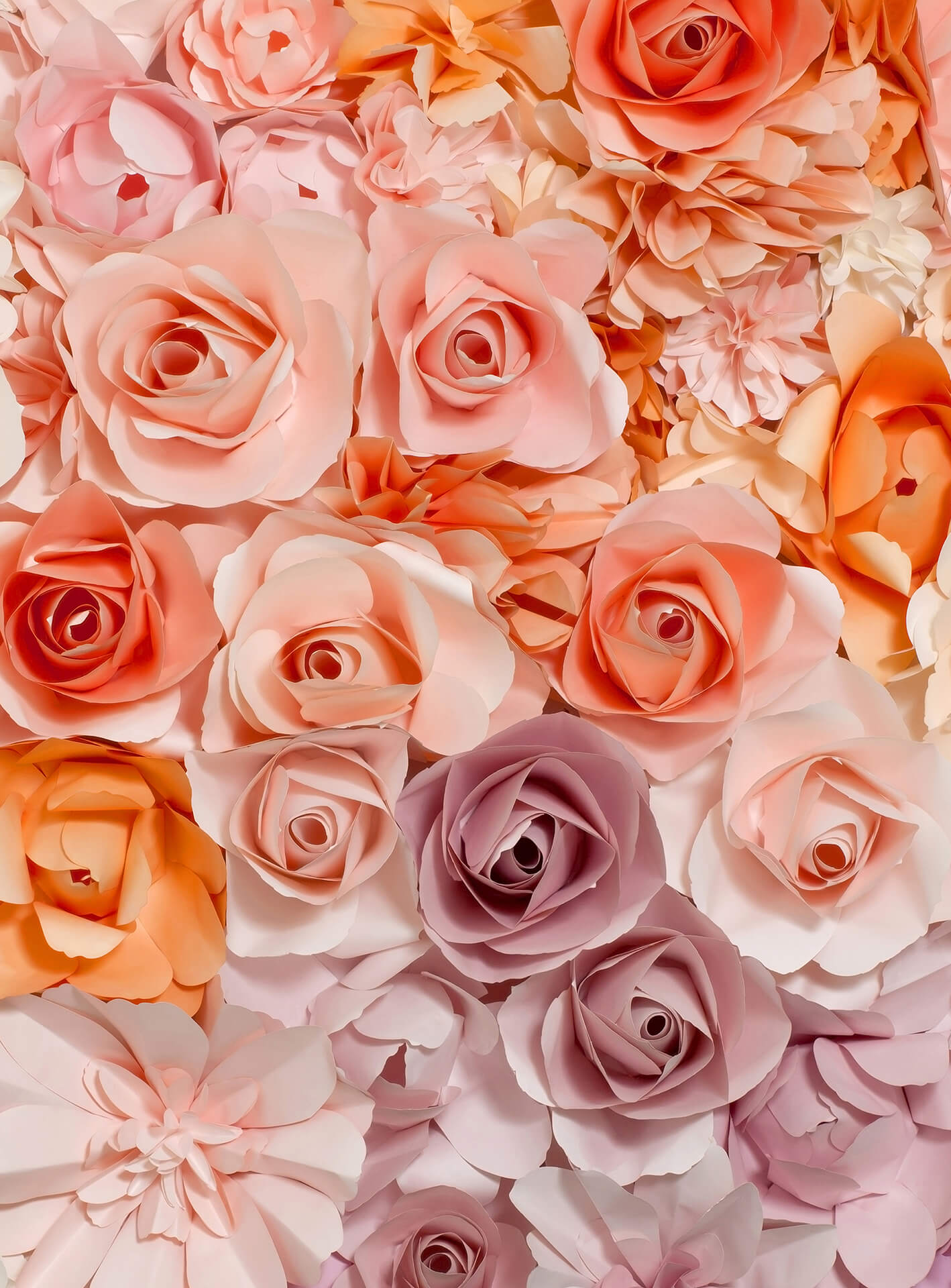 A.S. Création Vlies Fototapete Rosen Flowers DD119103 Blumen Designwalls 2.0