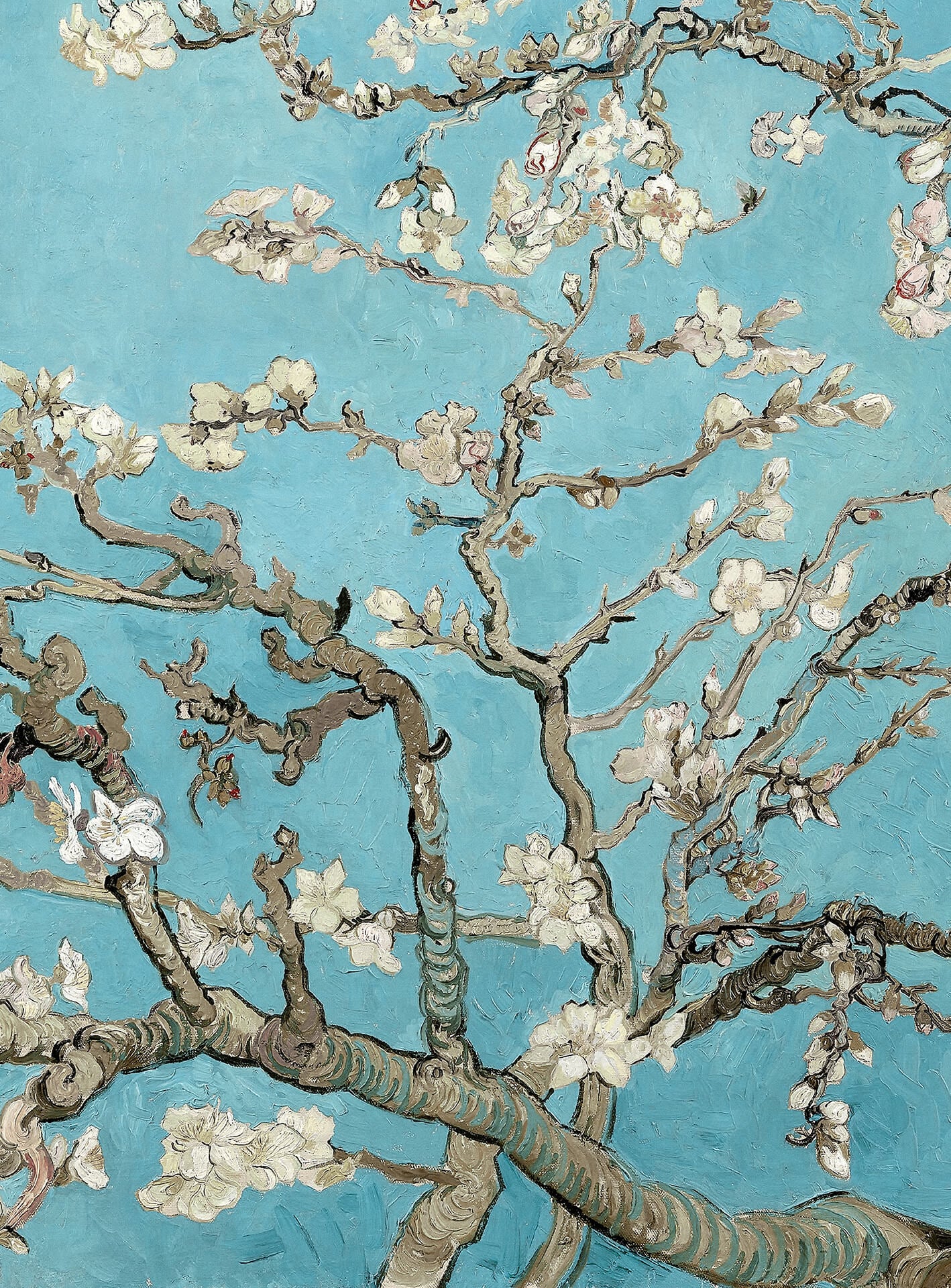 A.S. Création Vlies Fototapete Kirschblüte van Gogh Almond Blossom DD119143 Baum