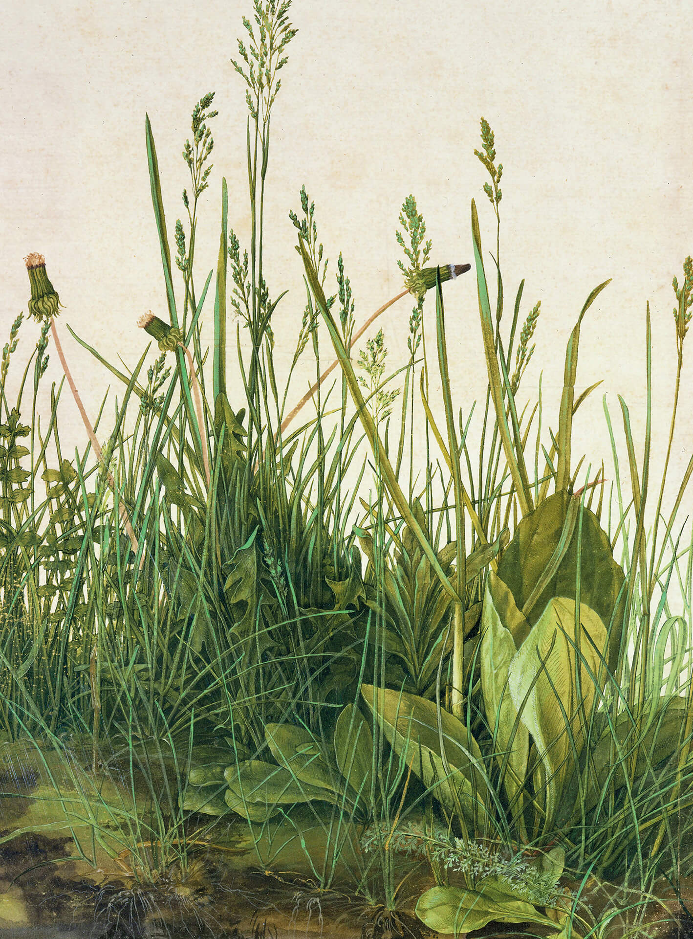 A.S. Création Vlies Fototapete Blumenwiese Great Piece of Turf DD119161 Beige