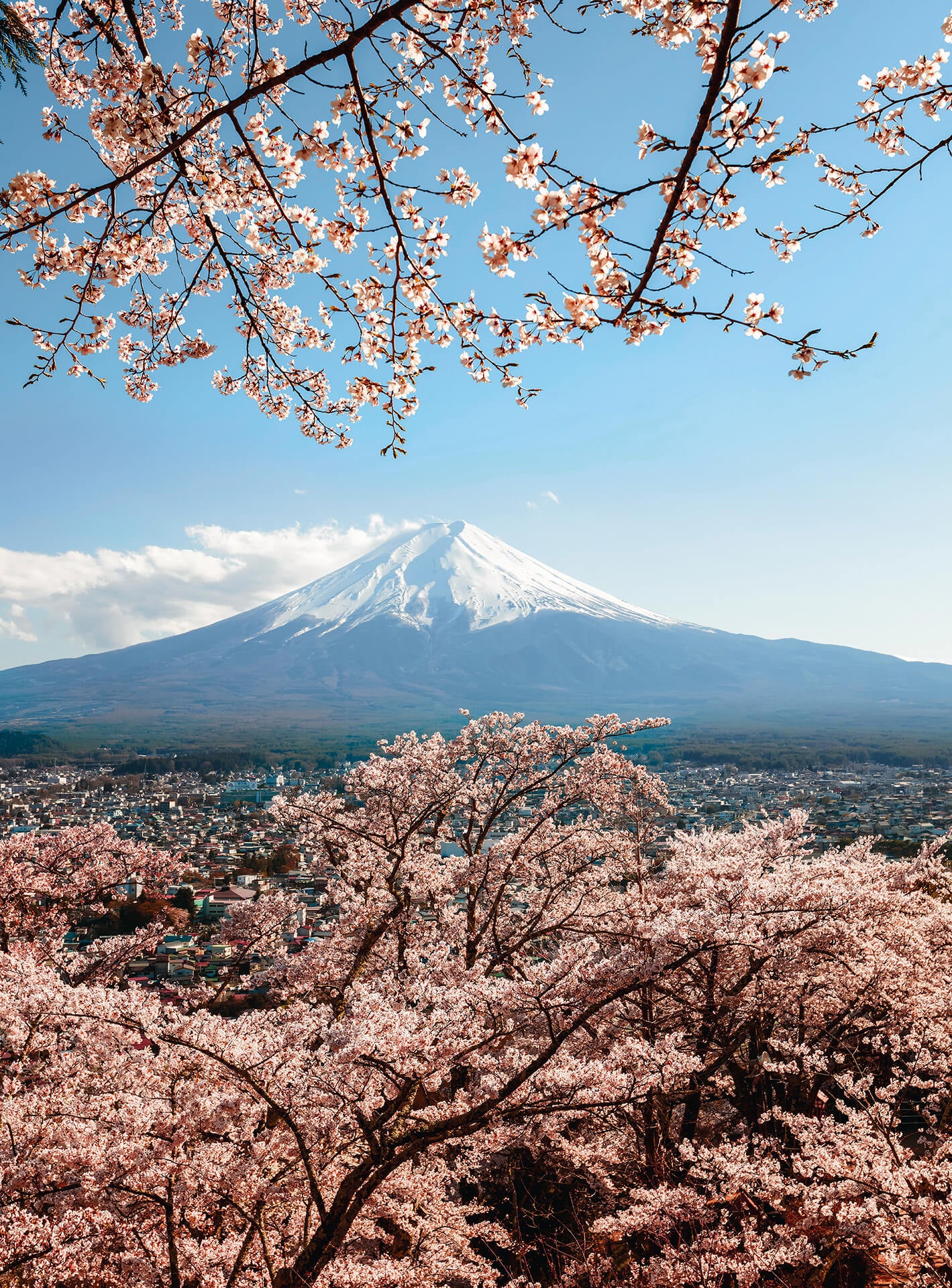 A.S. Création Vlies Fototapete Kirschblüte Mount Fuji in Japan DD119173 Berge