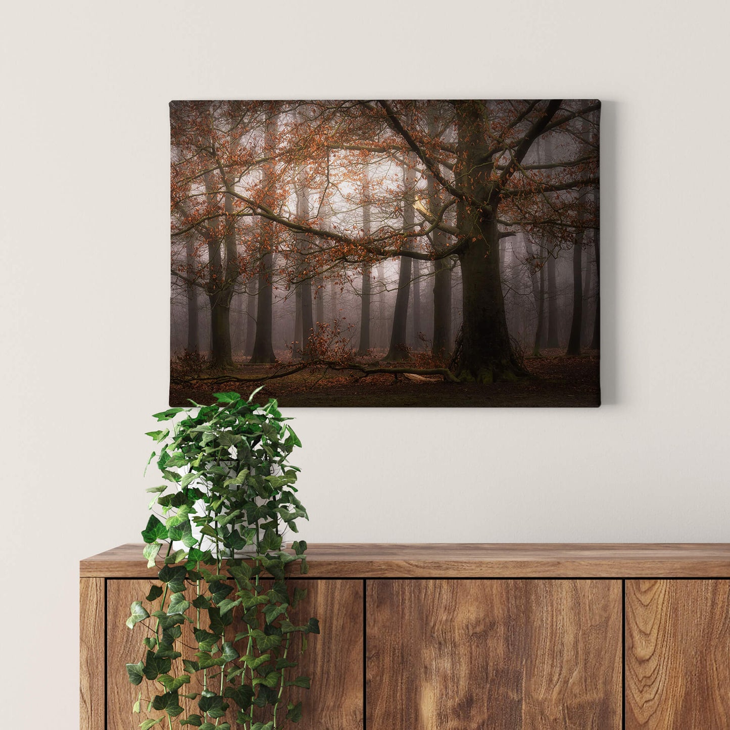 Wald Leinwandbild Braun 70x50 DD123026 Keilrahmenbild Wandbild Leinwand Natur