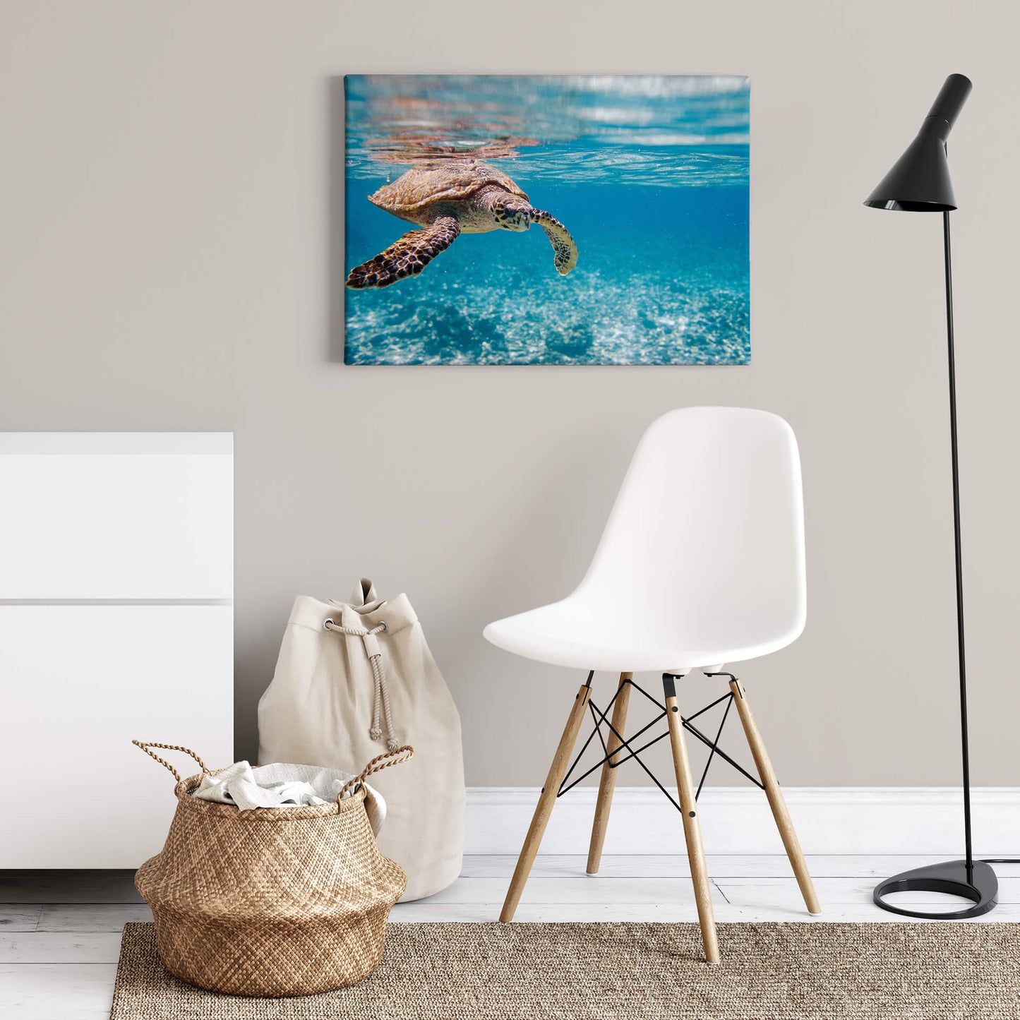 Leinwandbild Schildkröte Blau 70x50 DD123046 Keilrahmenbild Wandbild Leinwand
