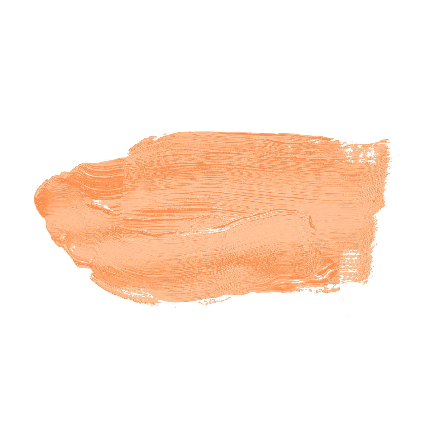 A.S. Création Wandfarbe TCK5010 5l Pure Papaya Farbe Innen Orange