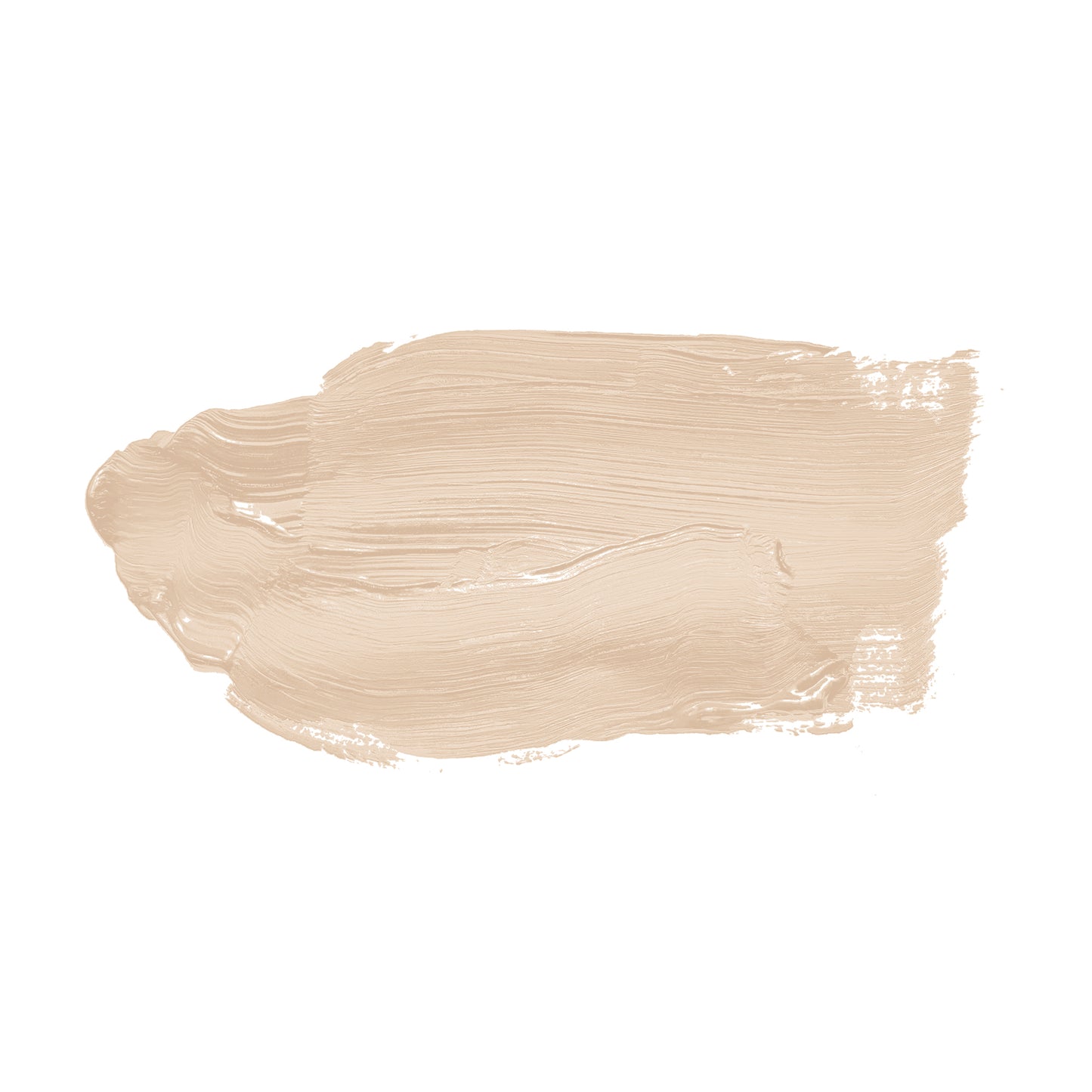 A.S. Création Wandfarbe TCK6008 2,5l Pure Pampas Farbe Innen Beige