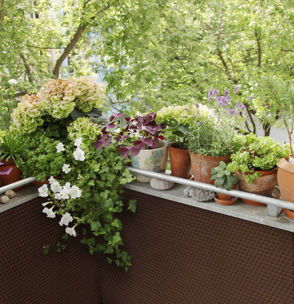 Polyrattan PVC Sichtschutz Matte 300x100cm Balkon Rattan Zaun Garten Windschutz
