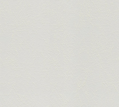 A.S. Création Uni Vinyl Tapete Meistervlies 2020 Überstreichbar Wandtapete