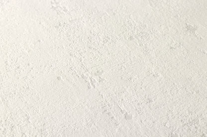 A.S. Création Unitapete Uni einfarbig Grau 230751 Tapete Used Look Wandtapete