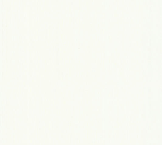 A.S. Création Unitapete Weiß Vliestapete 288516 Wandtapete Tapete