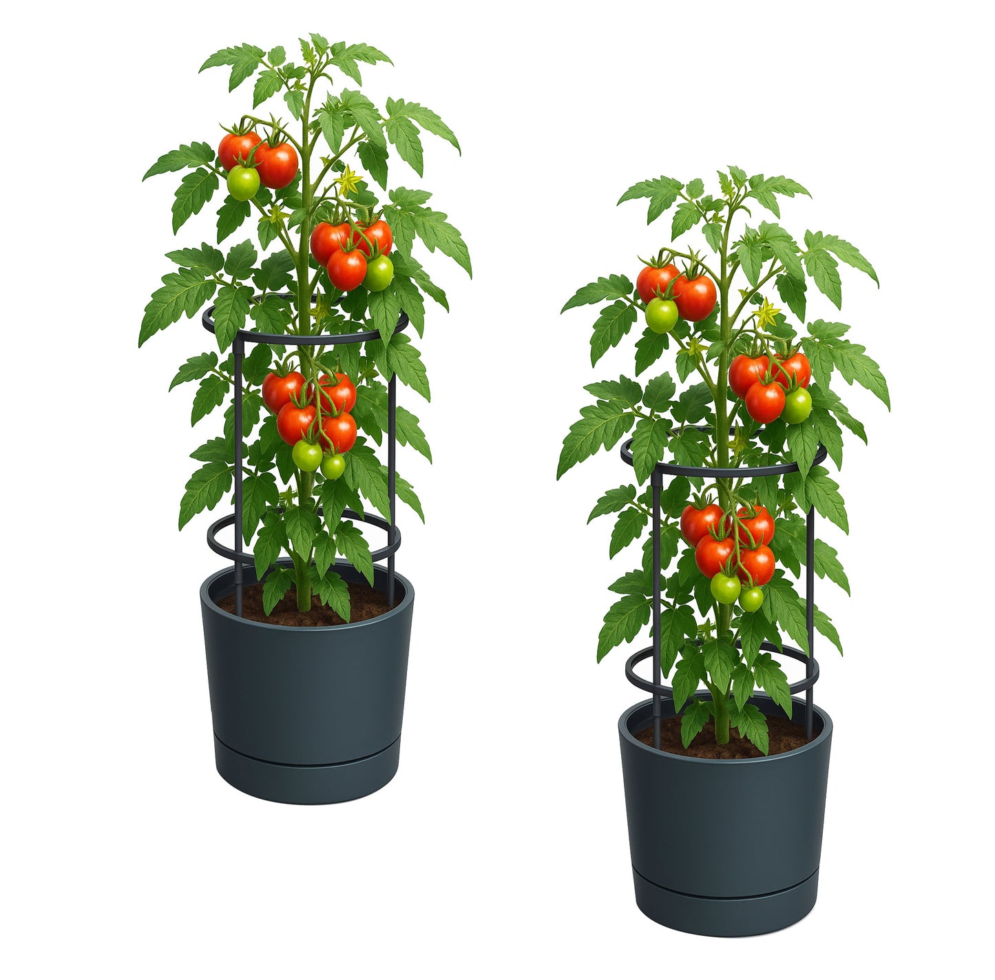2x Pflanzkübel Rankhilfe Anzuchttopf Tomatentopf Pflanz Blumen Topf Pflanzgefäß