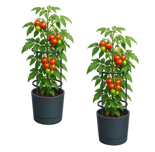 2x Pflanzkübel Rankhilfe Anzuchttopf Tomatentopf Pflanz Blumen Topf Pflanzgefäß