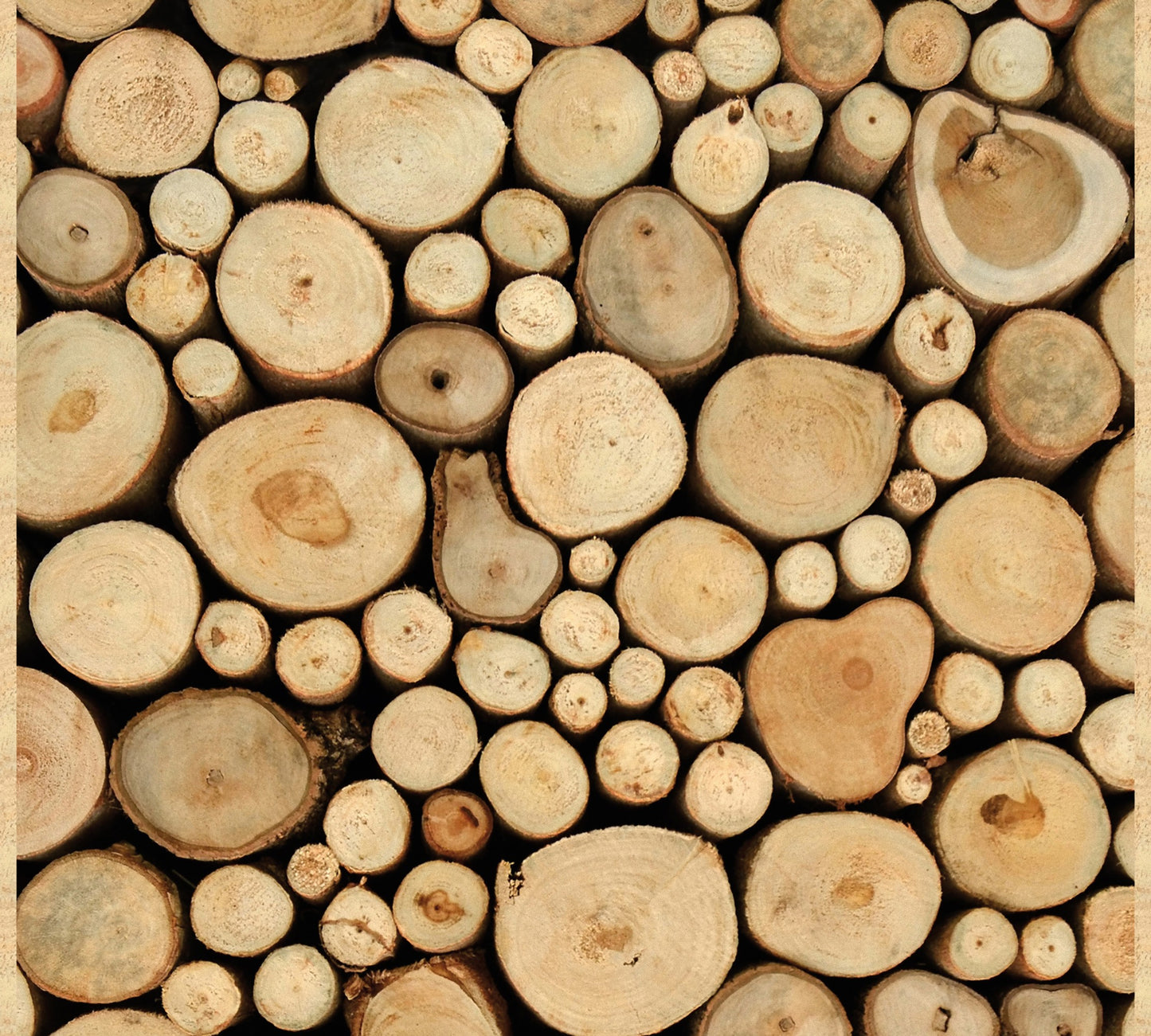 A.S. Création Tapete Holzoptik Braun 300701 Wandtapete Folie selbstklebend