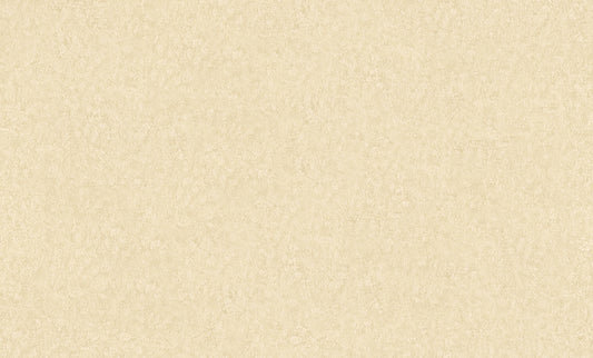 A.S. Création Unitapete Uni Beige 301402 Tapete Longlife Colours Wandtapete