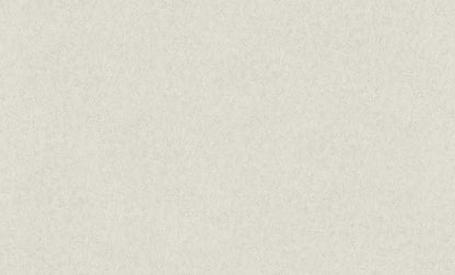 A.S. Création Unitapete Uni Grau 301403 Tapete Longlife Colours Wandtapete