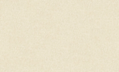 A.S. Création Unitapete Uni Beige 301404 Tapete Longlife Colours Wandtapete