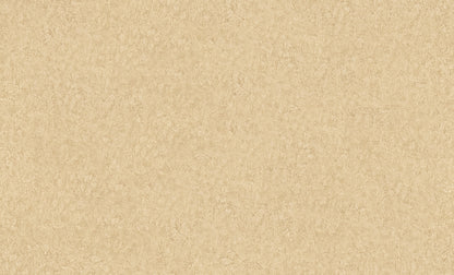 A.S. Création Unitapete Uni Beige 301405 Tapete Longlife Colours Wandtapete