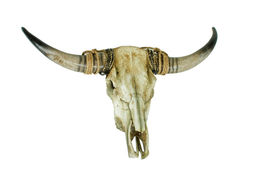 Polyresin Geweih Bison Jagdtrophäe Trophäe Gehörn Deko Wanddekoration Jagd Jagen