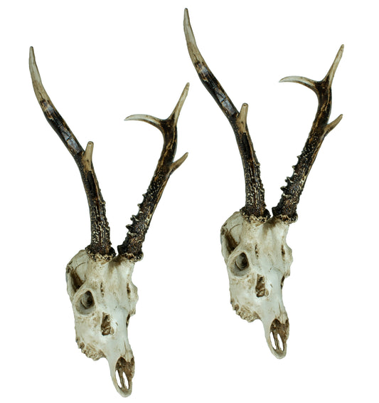 Set Polyresin Geweih Reh Jagdtrophäe Trophäe Gehörn Deko Wanddekoration Jagd