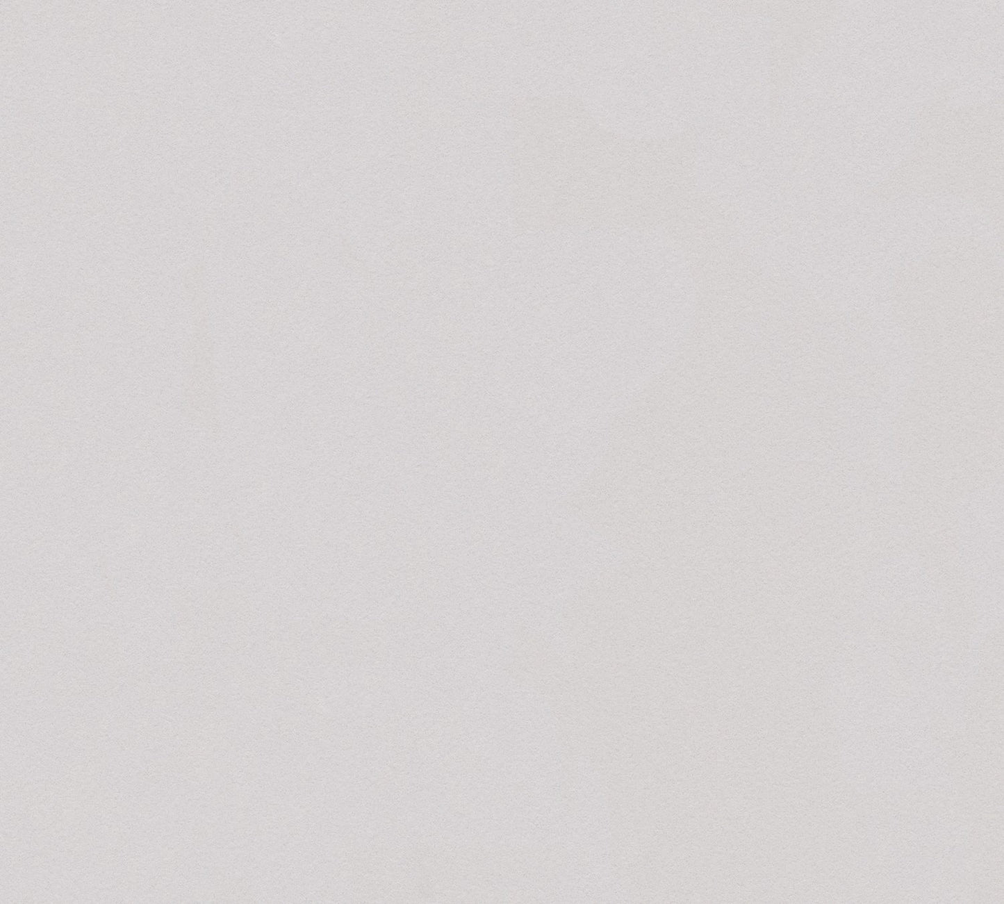 Unitapete Grau Vliestapete 303257 Wandtapete einfarbig A.S. Création Tapete