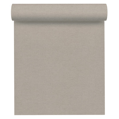 A.S. Création Tapete Antigua 306894 Grau Vlies Wandtapete Unitapete matt Uni