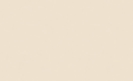 A.S. Création Unitapete Uni Beige 307255 Tapete Longlife Colours Wandtapete