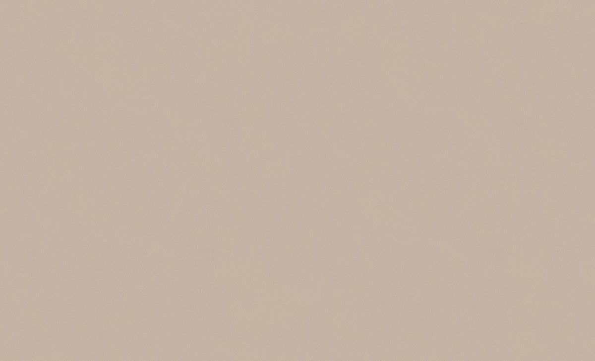 A.S. Création Unitapete Uni Beige 307256 Tapete Longlife Colours Wandtapete