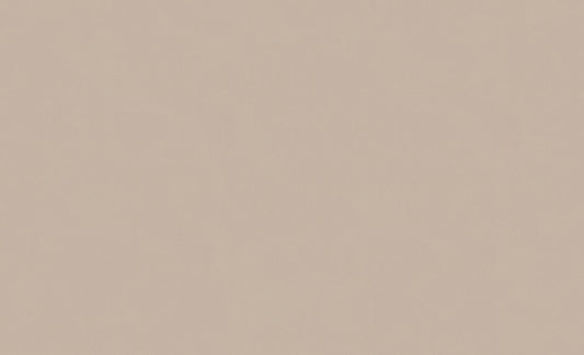 A.S. Création Unitapete Uni Beige 307256 Tapete Longlife Colours Wandtapete