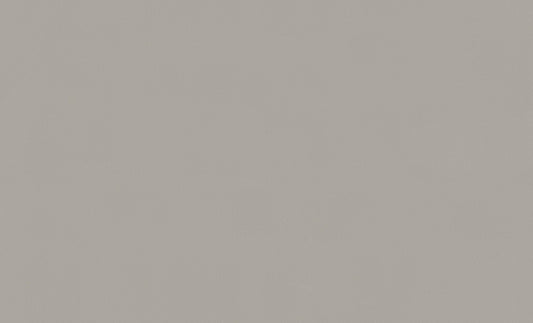 A.S. Création Unitapete Uni Grau 307257 Tapete Longlife Colours Wandtapete