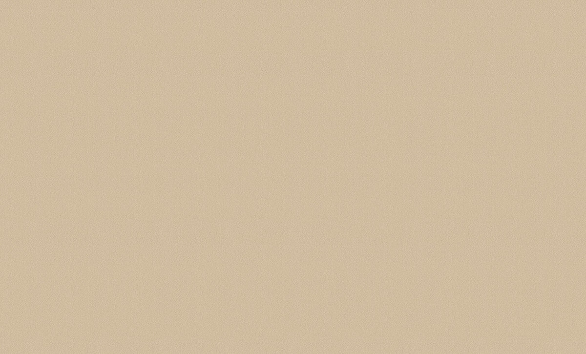 A.S. Création Unitapete Uni Braun 307258 Tapete Longlife Colours Wandtapete