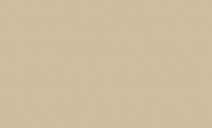 A.S. Création Unitapete Uni Braun 307258 Tapete Longlife Colours Wandtapete