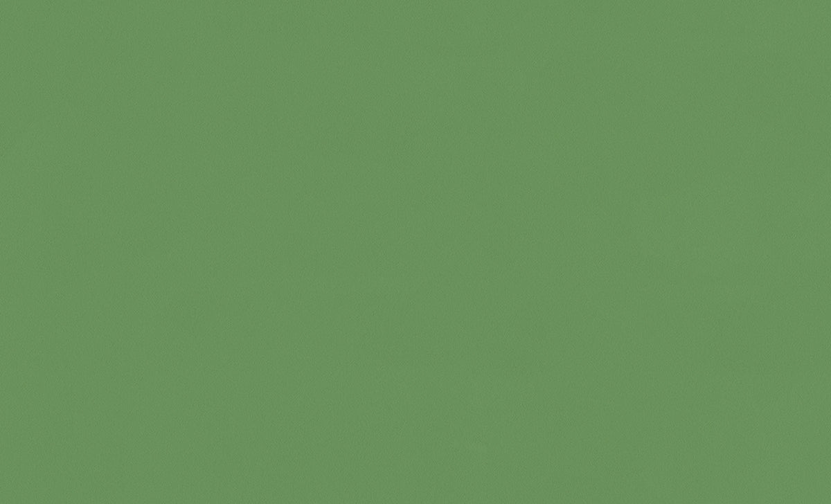 A.S. Création Unitapete Uni Grün 307291 Tapete Longlife Colours Wandtapete