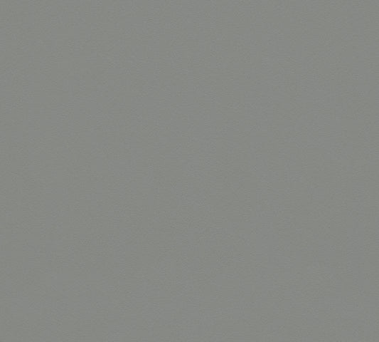 A.S. Création Unitapete Uni einfarbig Grau 309143 Tapete Memory 3 Wandtapete