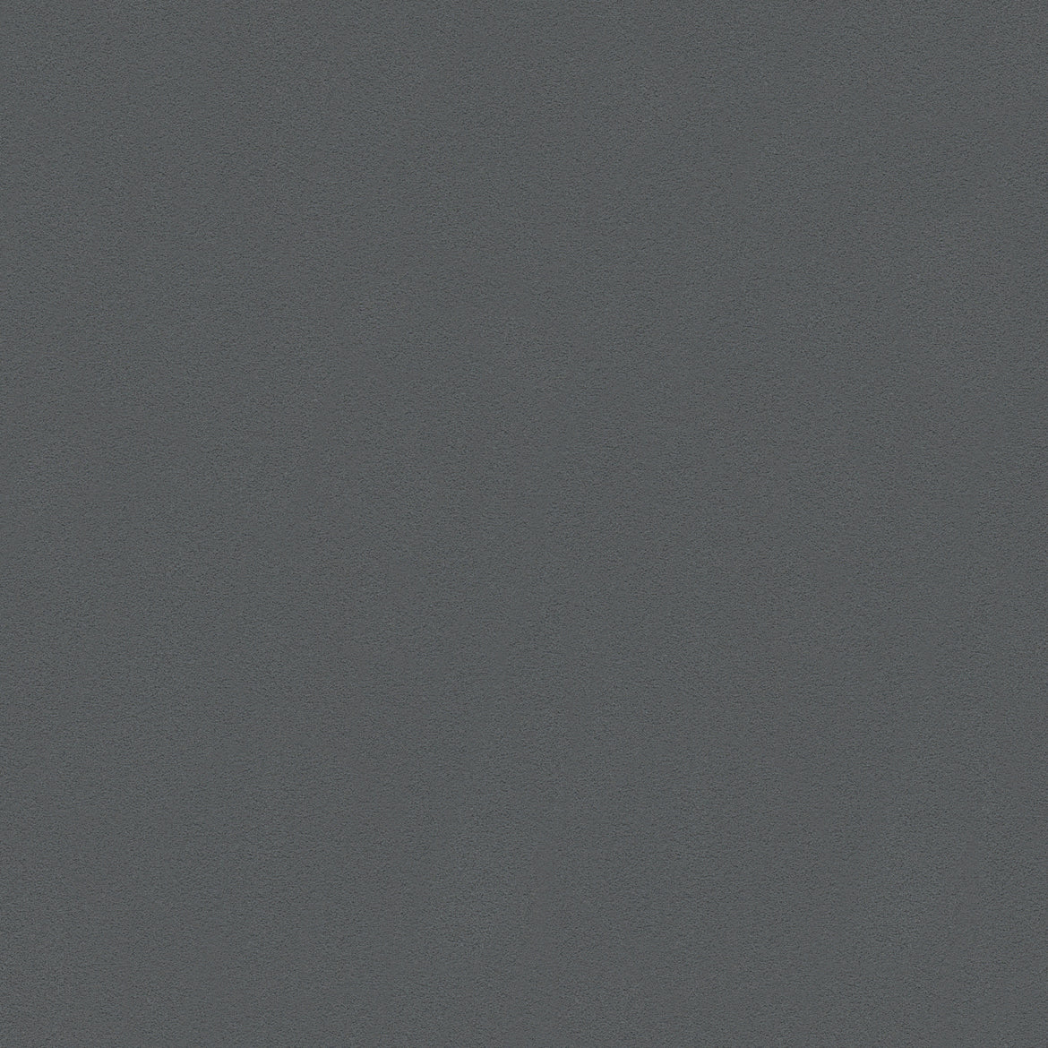 A.S. Création Unitapete Grau Vliestapete 309549 Wandtapete