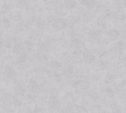 A.S. Création Beton Optik Vinyl Tapete Colours of the world Grau Uni Wandtapete