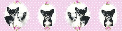 Bordüre 35850-2 Little Stars rosa Chiwawa Tapeten Tiere Rosa Vlies Borte Hunde