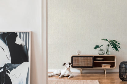 A.S. Création Tapete Attractive 2 366002 Weiß Putzoptik Wandtapete Vliestapeten