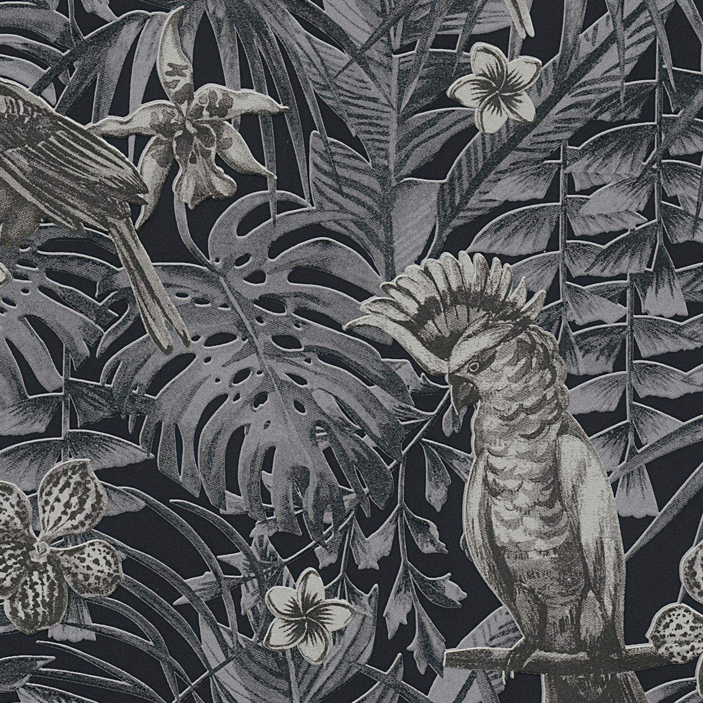 Dschungeltapete Grau Vliestapete 372104 Wandtapete A.S. Création Tapete